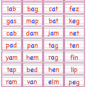 montessori pink series — moveable alphabet 3 letter word cards (colour coded)