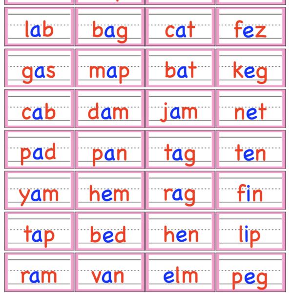 montessori pink series — moveable alphabet 3 letter word cards (colour coded)