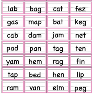 montessori pink series moveable alphabet 3 letter word cards