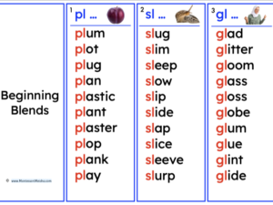 montessori blue series — beginning consonant blends word cards