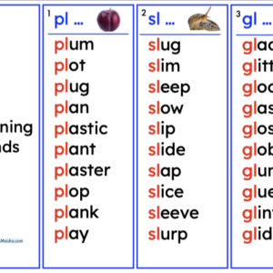 montessori blue series — beginning consonant blends word cards