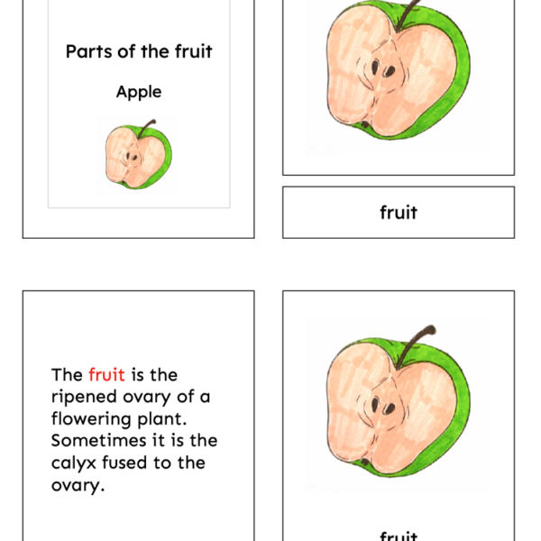 fruit