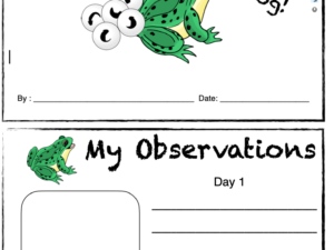 animal life cycle observation booklets