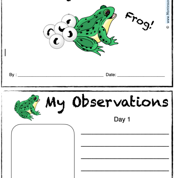 animal life cycle observation booklets