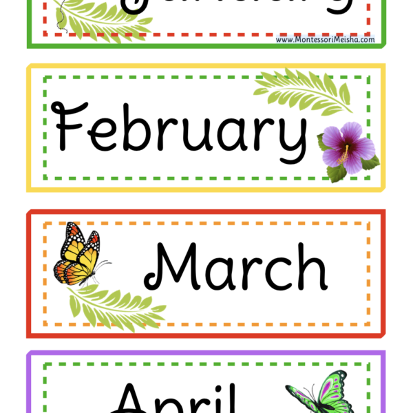 classroom calendar cards — butterfly and ladybug theme