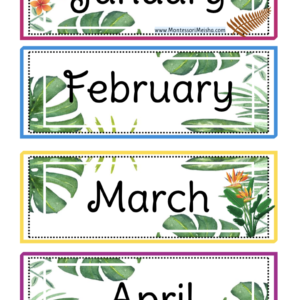 classroom calendar cards — tropical leaves theme