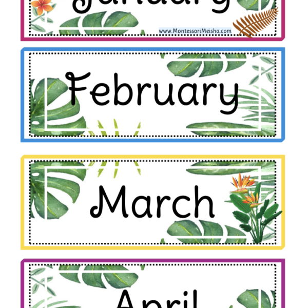 classroom calendar cards — tropical leaves theme