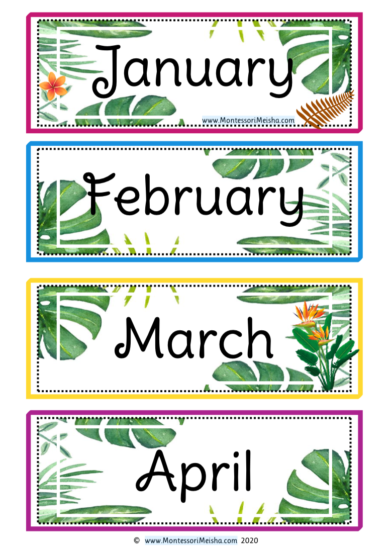classroom calendar cards — tropical leaves theme classroom calendar cards — tropical leaves theme