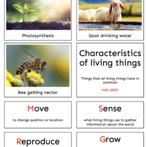 montessori sorting cards activity characteristics of living things