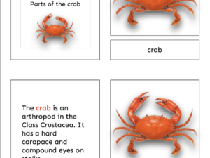crab