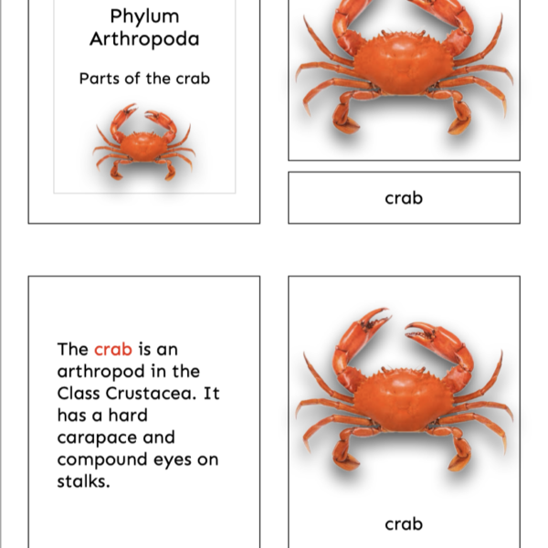 crab