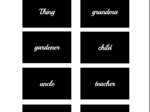 montessori grammar box — person, place and thing nouns (cursive)