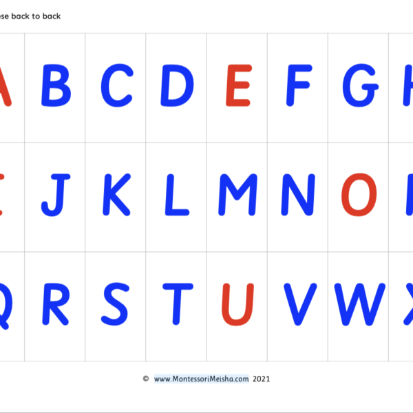 Montessori Moveable Alphabet Letters
