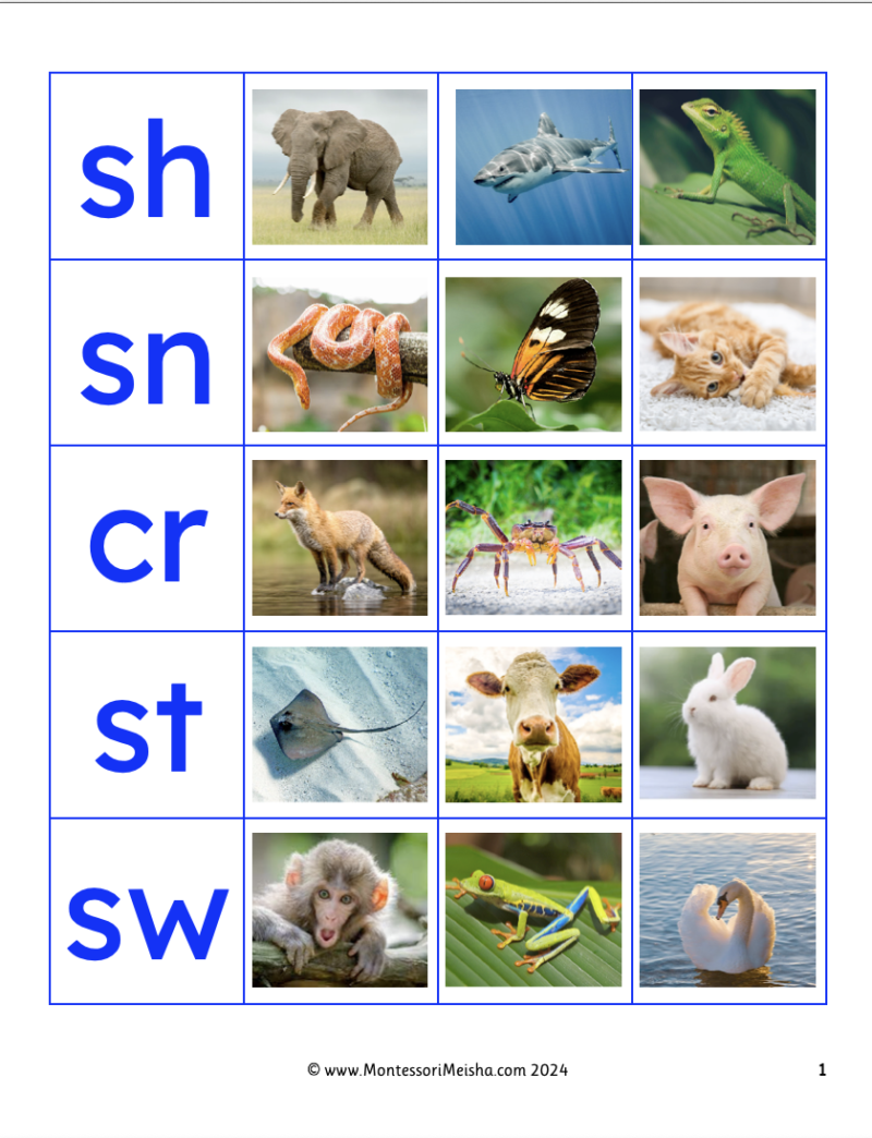 Blue Series Beginning Blend Sounds - Printable Montessori Teaching ...