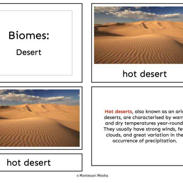 Desert Biomes